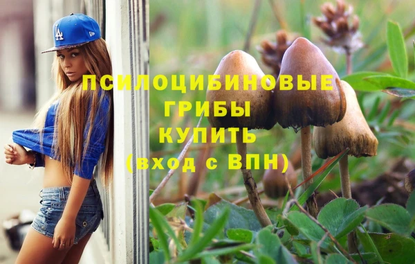 каннабис Алексин
