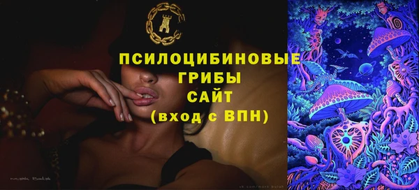 спиды Алексеевка